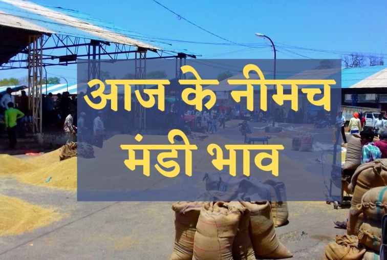 Neemuch mandi bhav today,