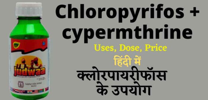 Chlorpyrifos 20 ec insecticide : uses, dosage