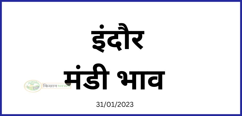 indore mandi rate today